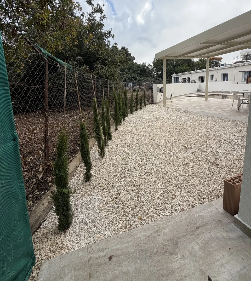 Cypress row and white stone yard