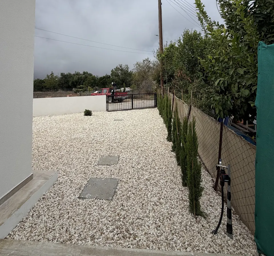 Cypress hedge with automatic watering